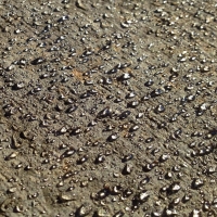 photo 1 (5)